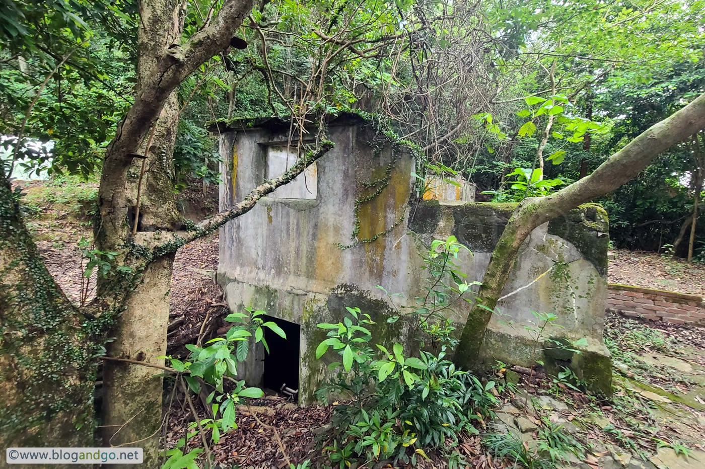 Mount Davis Battery - Air Raid Structure